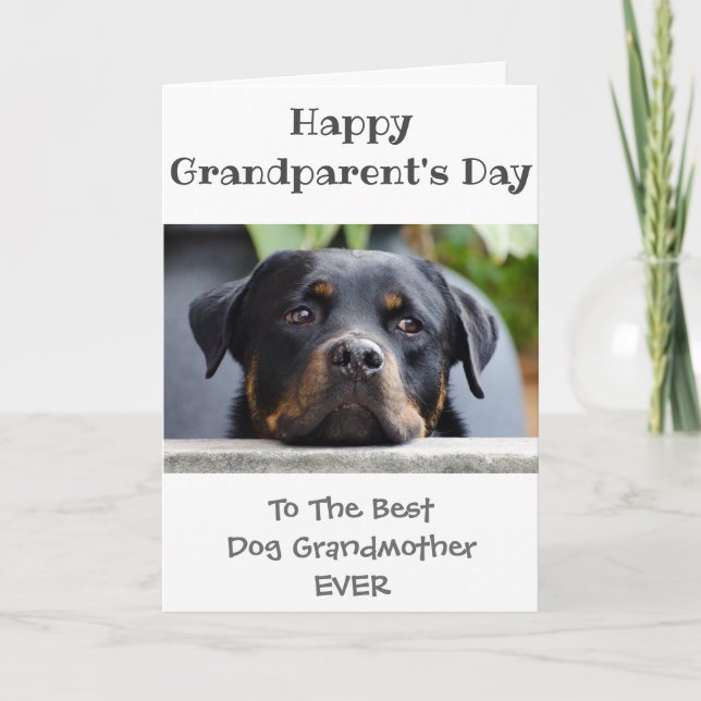 Happy Grandparents Day to Grandmother from the Dog Card (Front)