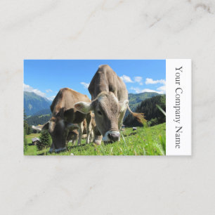 Happy Grazing Cows Photograph - Business Card