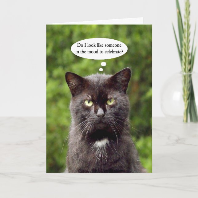 Happy Grouch Day black annoyed cat greeting card (Front)
