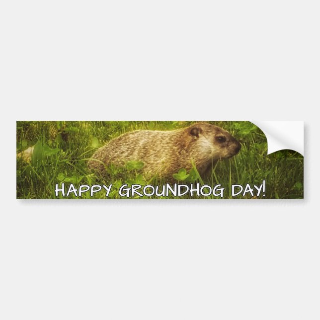Happy Groundhog Day! bumper sticker (Front)