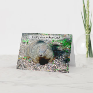 Happy Groundhog Day Card