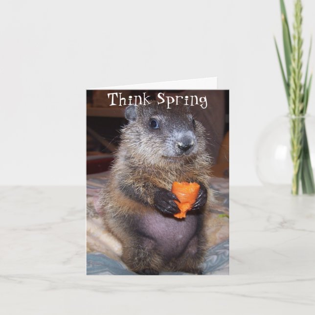 Happy Groundhog Day Card with Baby Maude (Front)