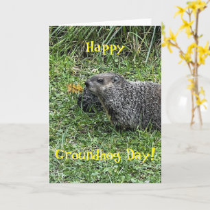 Happy Groundhog Day, custom greeting cards