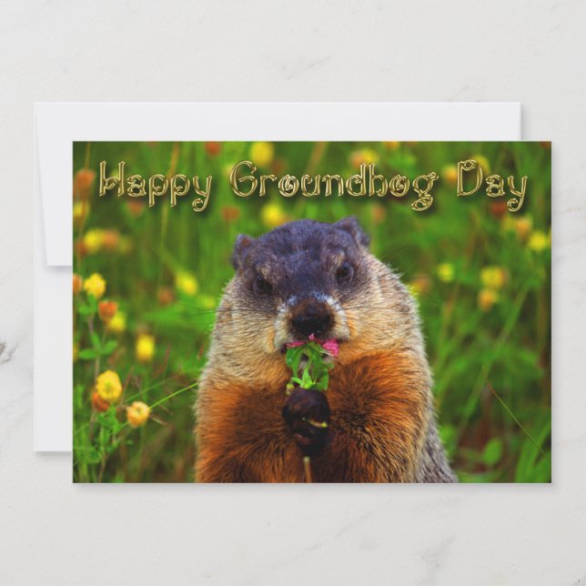 Happy Groundhog Day Eating Flower Invitation (Front)
