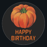 Happy Halloween Birthday with Pumpkin Classic Round Sticker<br><div class="desc">Cute sticker with a pumpkin,  for Halloween birthdays. Halloween stickers make great trick or treat gifts,  and are fun for decorating all your Halloween projects.

See all our Halloween stickers in our shop at <_a20_href3d_22_http3a_2f_2f_www.zazzle.com2f_stickermad2f_products3f_dp3d_026_cg3d_1968804207039730773c_2f_a3e_21_0d_0a_3c_br3e_0d_0a_copyright20_scarebaby20_design2c_20_a20_trademarked20_brand20_name2c_20_and20_backed20_by20_the20_zazzle20_guarantee. href=""></_a20_href3d_22_http3a_2f_2f_www.zazzle.com2f_stickermad2f_products3f_dp3d_026_cg3d_1968804207039730773c_2f_a3e_21_0d_0a_3c_br3e_0d_0a_copyright20_scarebaby20_design2c_20_a20_trademarked20_brand20_name2c_20_and20_backed20_by20_the20_zazzle20_guarantee.></div>