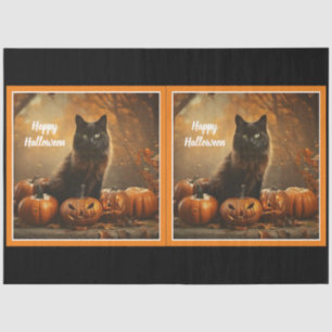 Happy Halloween Black Cat Collection Tissue Paper