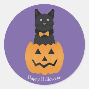 Happy Halloween Black Cat Pumpkin Classic Round Sticker