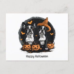 Happy Halloween Boston Terrier Dogs Postcard