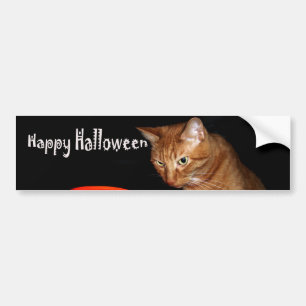 Happy Halloween Bumper Sticker