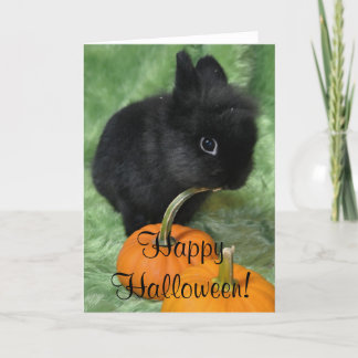 Happy Halloween Bunny Card