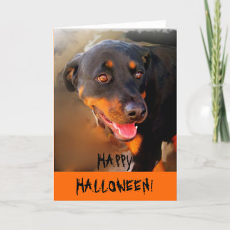 HAPPY HALLOWEEN! CARD