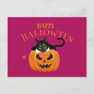 Happy Halloween Cat fun Postcard