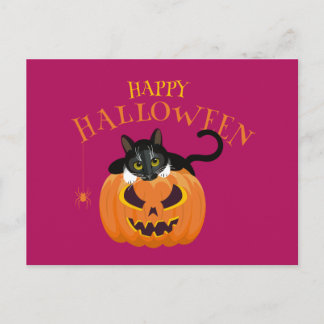 Happy Halloween Cat fun Postcard