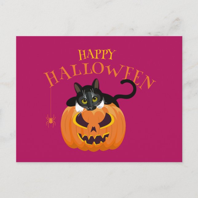 Happy Halloween Cat fun Postcard (Front)