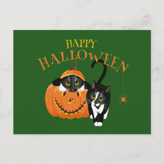 Happy Halloween Cat fun Postcard