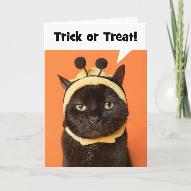 Happy Halloween Cat in Bee Costume Humour  Holiday Card (Front)