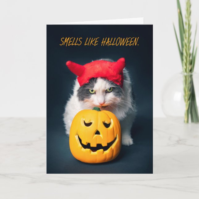 Happy Halloween Cat in Costume Sniffing Pumpkin Holiday Card (Front)