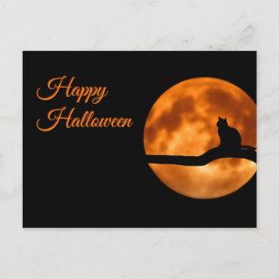 Happy Halloween Cat Postcard