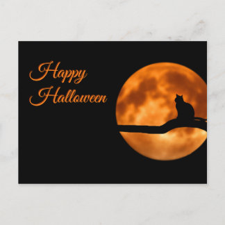 Happy Halloween Cat Postcard