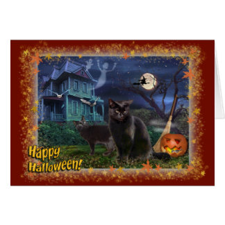 Happy Halloween Cats
