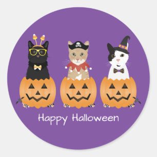Happy Halloween Cats Jack O Lantern Classic Round Sticker