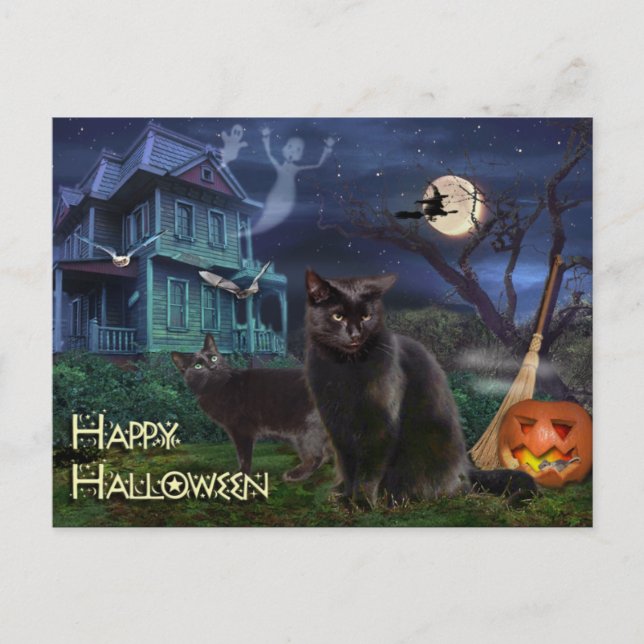 Happy Halloween Cats Postcard (Front)