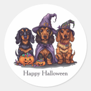Happy Halloween Dachshund Witch Dogs Classic Round Sticker