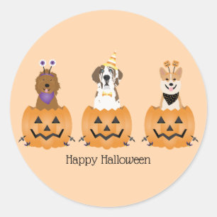 Happy Halloween Dogs In Pumpkins Classic Round Sticker