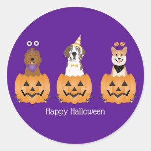 Happy Halloween Dogs In Pumpkins Classic Round Sticker