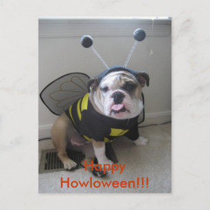 Happy Halloween, English Bulldog Holiday Postcard