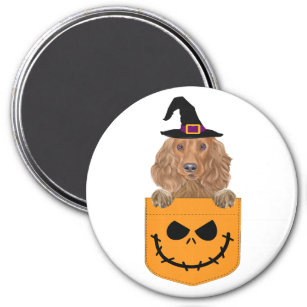 Happy Halloween English Cocker Spaniel Dog Witch Magnet