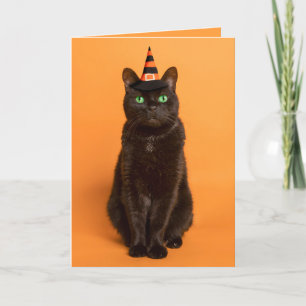 Happy Halloween For Anyone Black Cat in Witch Hat  Holiday Card