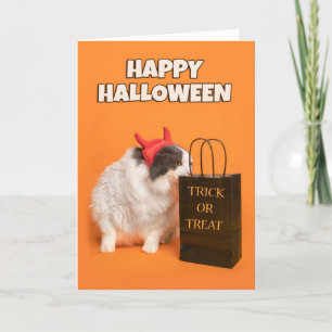 Happy Halloween For Anyone Cat in Costume  Holiday Card
