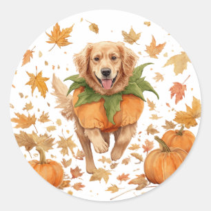 Happy Halloween Golden Retriever Fall Pumpkin   Classic Round Sticker