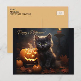 Happy Halloween Kitty & Pumpkins Postcard