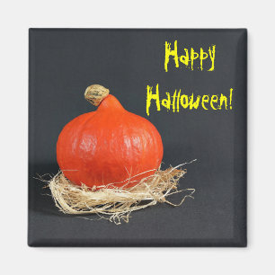 Happy Halloween Magnet