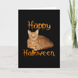 Happy Halloween Non-Scary Orange Tabby Cat Card