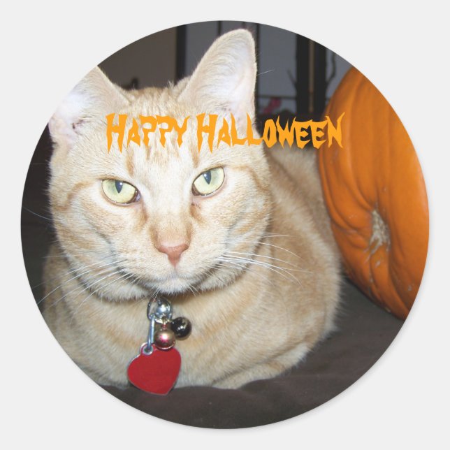 Happy Halloween Orange Tabby Cat With Pumpkin Classic Round Sticker (Front)