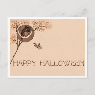 Happy Halloween Owl Postcard