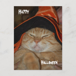 Happy Halloween-Post Card