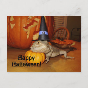 Happy Halloween! Postcard
