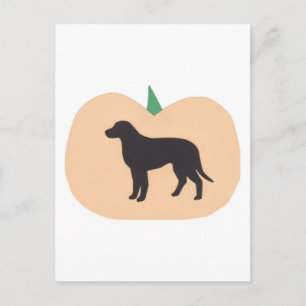 Happy Halloween Pumpkin Labrador Retriever Postcard