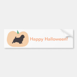 Happy Halloween Pumpkin Norfolk Terrier Bumper Sticker