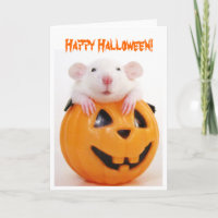 Happy Halloween Pumpkin Rat