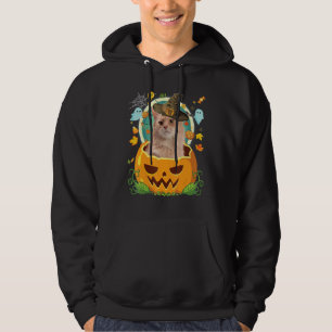 Happy Halloween Pumpkin Somali Cat Witch Cute Hat Hoodie