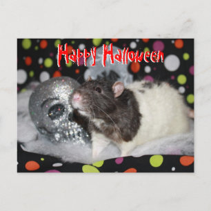 Happy Halloween - Rat Postcar Postcard