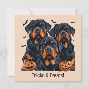 Happy Halloween Rottweiler Dogs Jack O Lantern Invitation