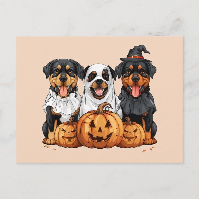 Happy Halloween Rottweiler Dogs Jack O Lantern Postcard (Front)