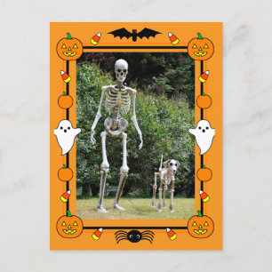 Happy Halloween Skeleton Holiday Postcard