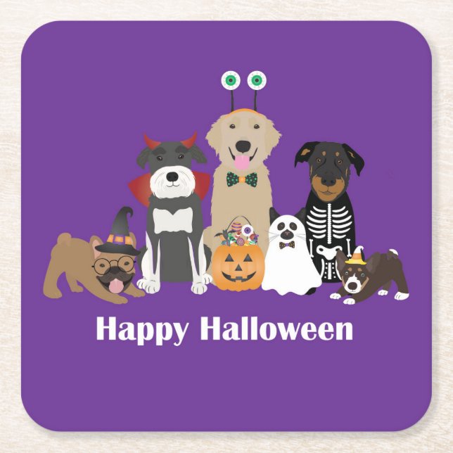 Happy Halloween Spooky Pet Costumes Square Paper Coaster (Front)